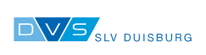 Logo DVS